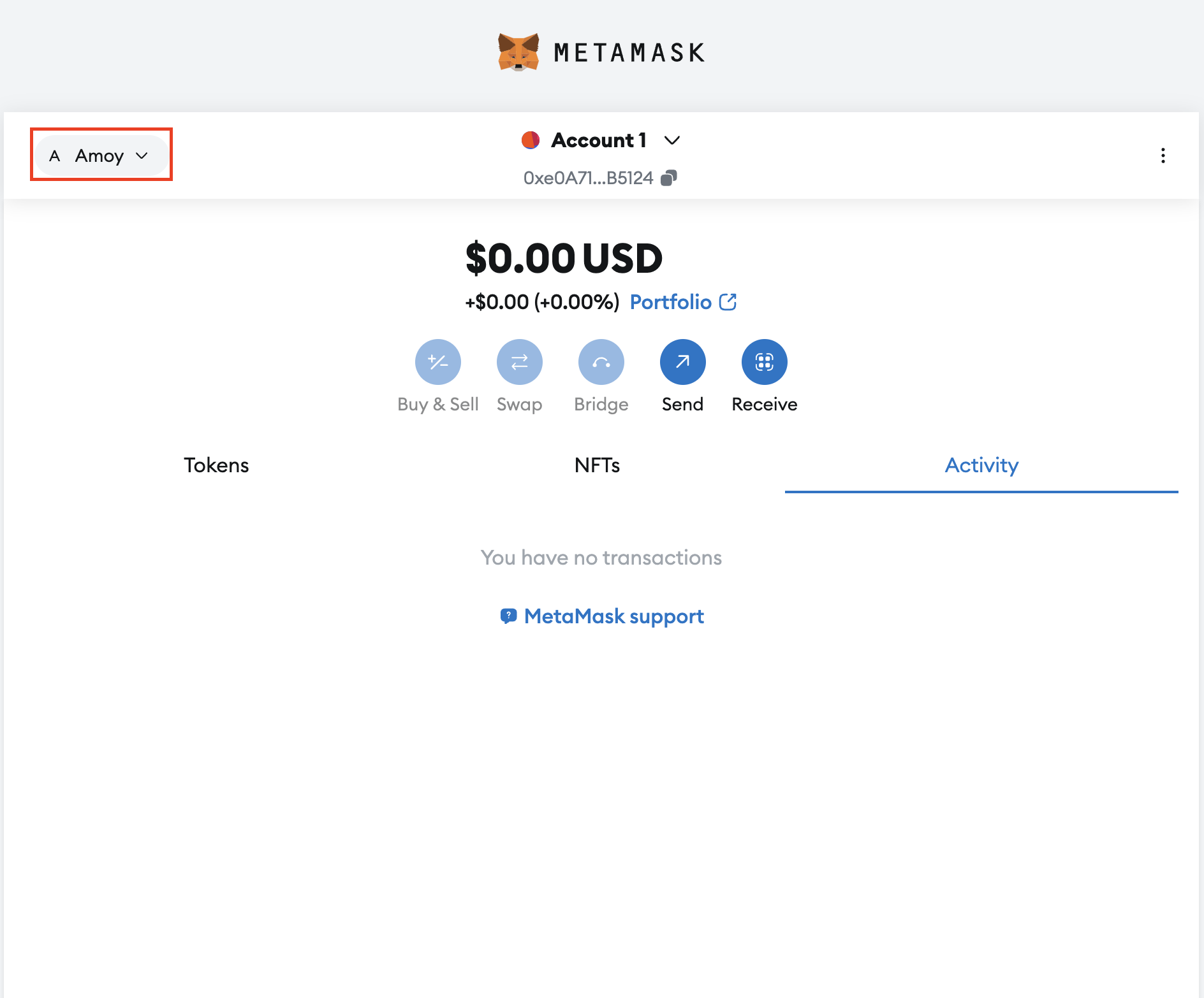 MetaMask Settings